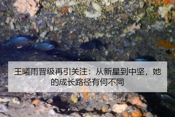 王曦雨晋级再引关注：从新星到中坚，她的成长路径有何不同